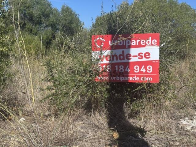 Terreno Urbano com 300m2, Alcabideche