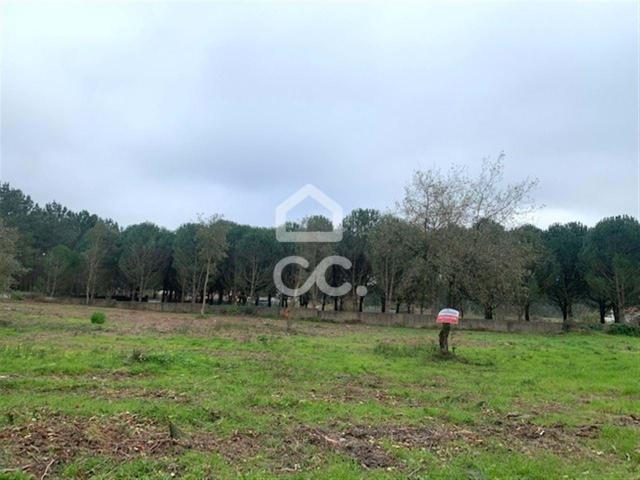 Terreno urbano com 3200 m2