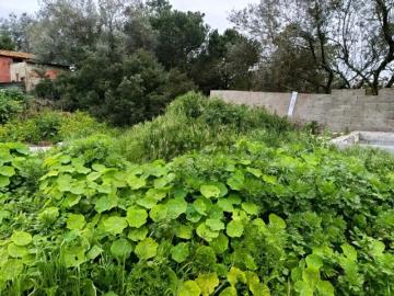 Terreno Urbano com 333m² Localização Premium na Charneca de Caparica
