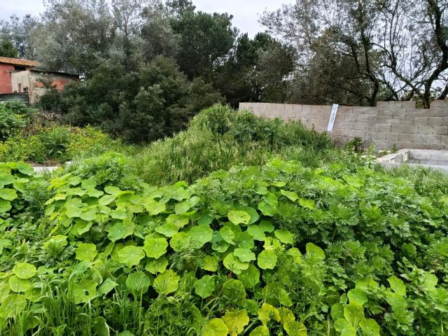 Terreno Urbano com 333m² – Localização Premium na Charneca de Caparica