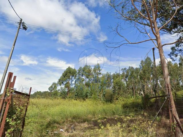 Terreno Urbano com 3500 m² no Cimo de Vila – São João de Ovar