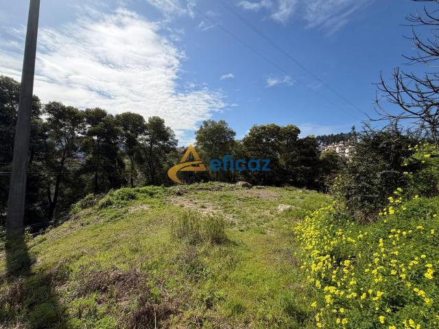 Terreno urbano com 390 m², localizado em Amarante
