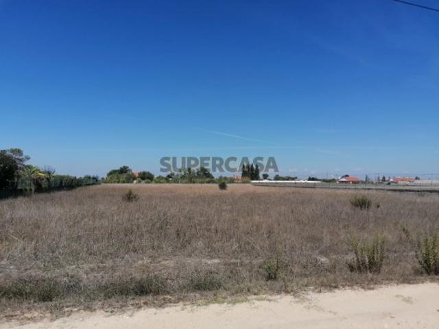 Terreno Urbano com 5000 m2 Foros de Salvaterra a 40 min de Lisboa