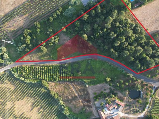 Terreno urbano com 5137,070m2 localizado em São Gregório Caldas da Rainha