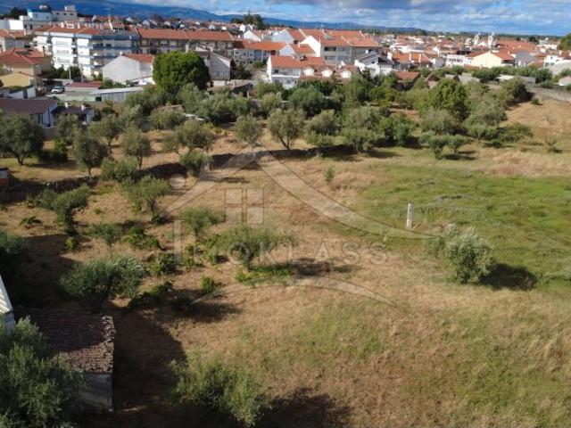 Terreno urbano com 5.000m2 para loteamento de varios lotes para moradias