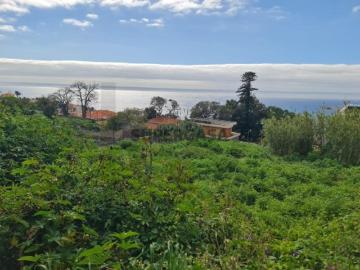Terreno urbano com 749 m² para construção na Quinta do Faial, Funchal