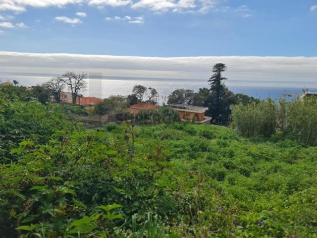 Terreno urbano com 749 m² para construção na Quinta do Faial, Funchal