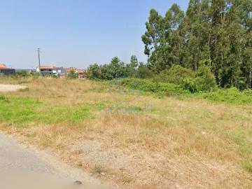 Terreno Urbano com 8.090 m² em Angeja – Excelente Oportunidade para Construtores / Investidores
