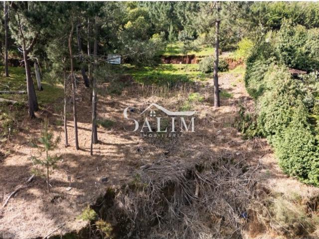 TERRENO URBANO COM 970M2 EM GAULA, SANTA CRUZ