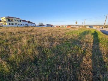 Terreno urbano com 9.000 m2 | A dos Cunhados, Torres Vedras