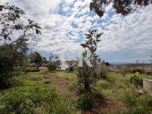 Terreno Urbano com Excelente Exposição Solar e Potencial de Construção em Figueiró dos Vinhos