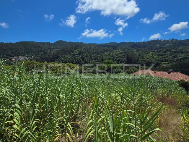 TERRENO URBANO COM PROJETO APROVADO, MORADIA TÉRREA T5 COM PISCINA, COLARES