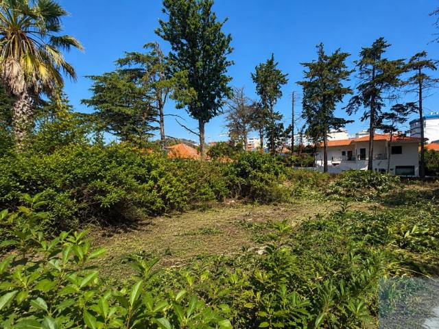 Terreno Urbano com Projeto para Moradia T5 em Santo Amaro de Oeiras