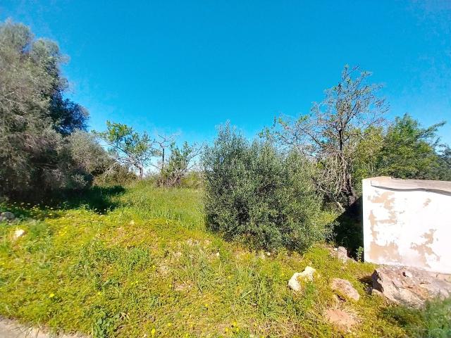 Terreno urbano com ruína a 20 minutos de Albufeira
