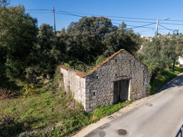 Terreno Urbano com Ruínas e Árvores de Fruto 2.280m² Longra, Tomar