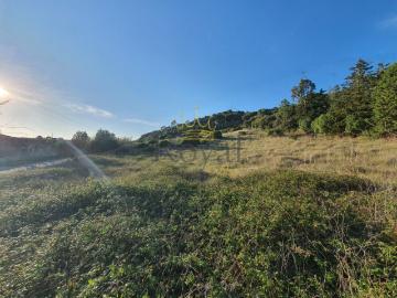 Terreno urbano construção moradia s Óbidos