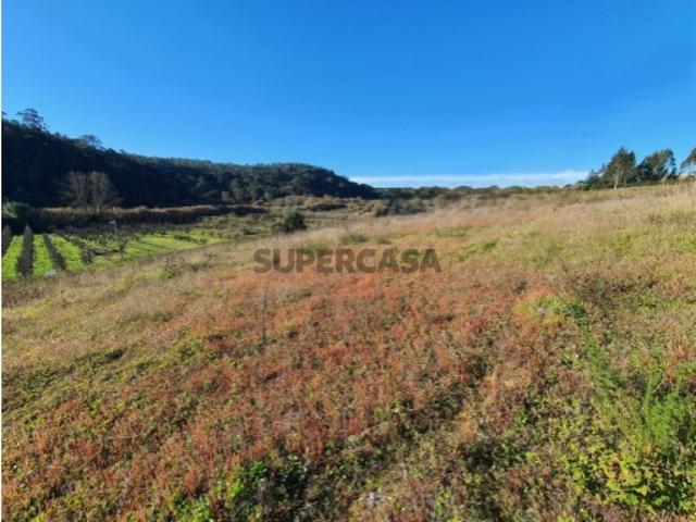 Terreno urbano construção moradia s Caldas da Rainha