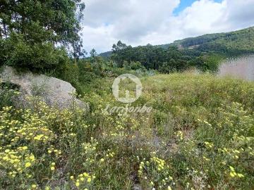 Terreno Urbano de 4.495m2 em Couto S. Miguel, Sto. Tirso