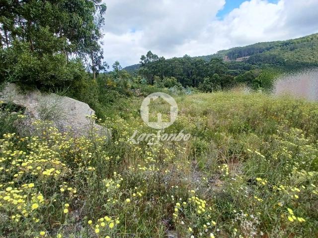 Terreno Urbano de 4.495m2 em Couto S. Miguel, Sto. Tirso