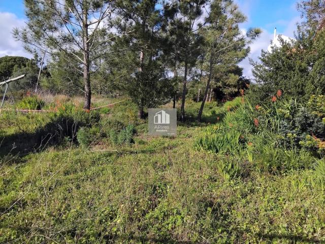 Terreno Urbano de 524.30M, acesso à via pública, estrada principal, com infraestruturas concluídas