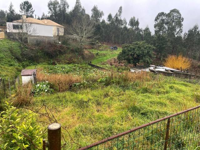 Terreno Urbano de 590 m² com Elevado Potencial de Construção Águeda