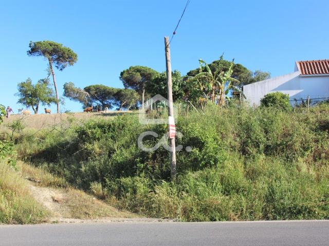 Terreno Urbano de 704m2 em Sesimbra