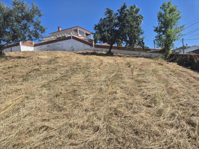 Terreno Urbano de 800 m² em Zona Nobre de Coimbra