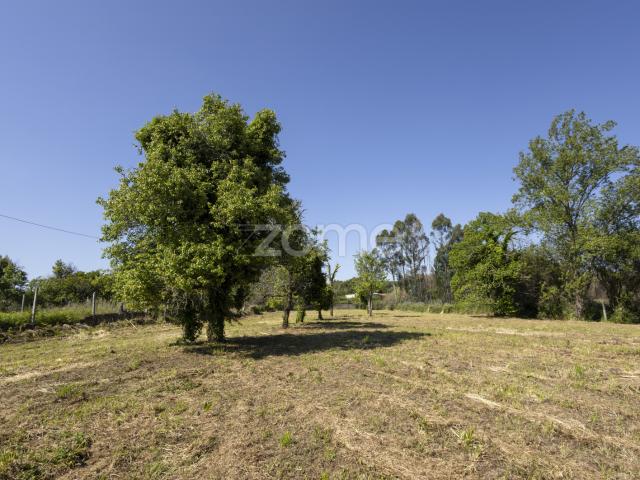 Terreno urbano de 800m² com um projeto, localizado em Grijó