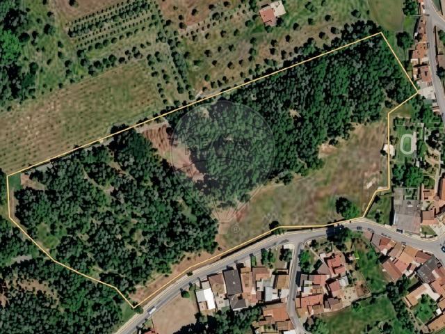Terreno urbano de 27.340 m² em Ança, Cantanhede