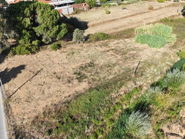Terreno Urbano de Grande Dimensão | 3.000 m² | Entroncamento