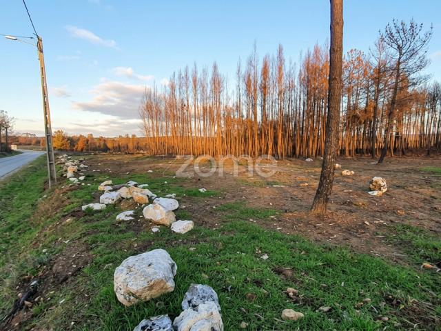 Terreno urbano e rústico com 2.472 m² — projeto ideal para uma residência