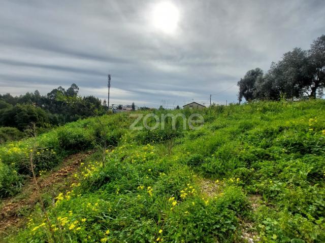 Terreno Urbano em Travassô