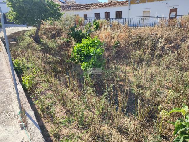 Terreno urbano em Barão de São Miguel