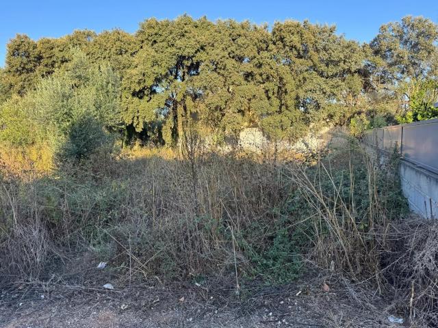 Terreno Urbano em Boleiros