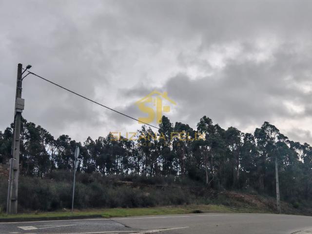 Terreno Urbano em Castelo Branco