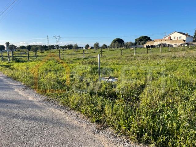 Terreno urbano em Charneca de Alcorochel, Torres Novas
