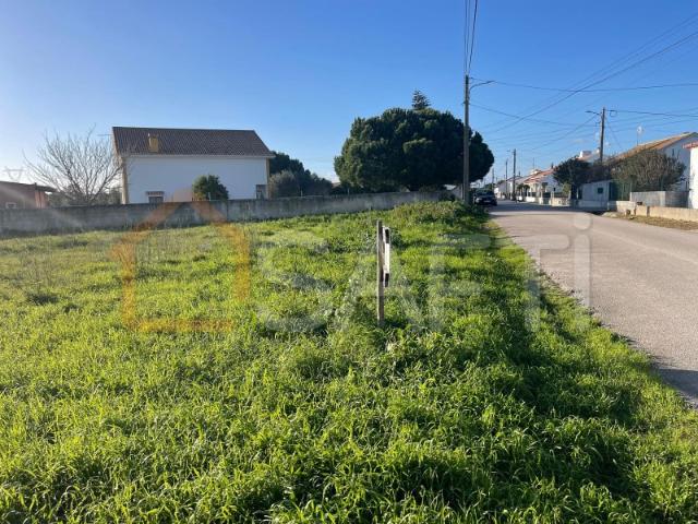Terreno urbano em Charneca de Alcorochel, Torres Novas
