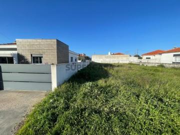 Terreno urbano em Charneca de Alcorochel, Torres Novas