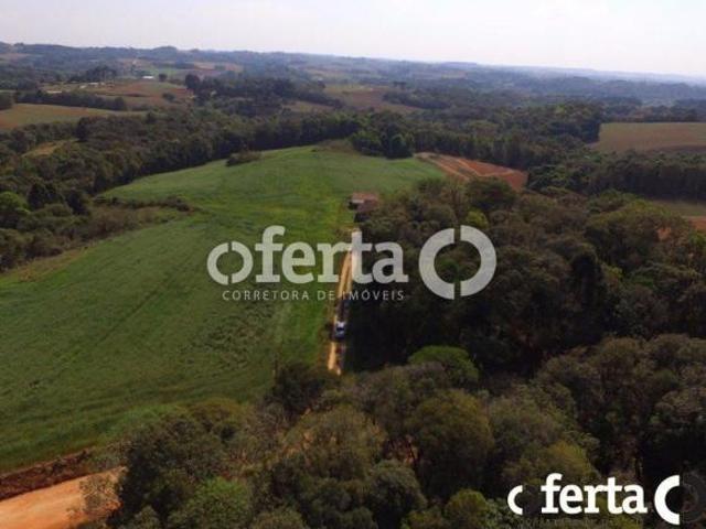 Terreno urbano em Contenda