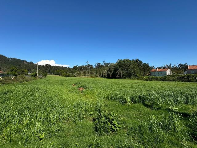 Terreno Urbano em Esposende com Viabilidade de Construção