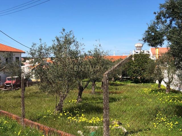 Terreno Urbano em Ermidas do Sado
