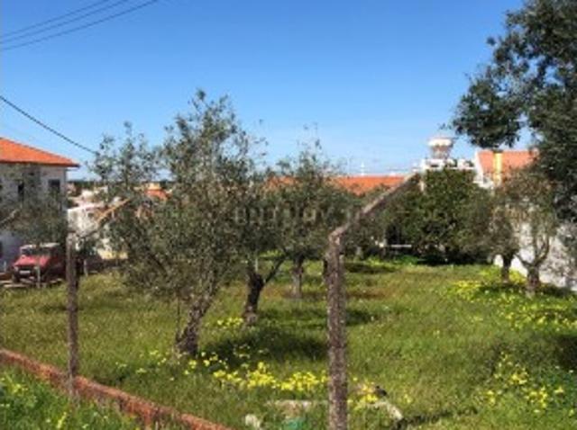 Terreno Urbano em Ermidas do Sado