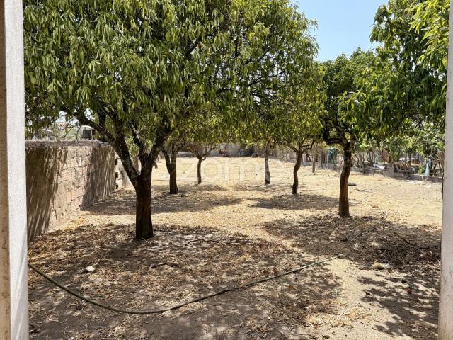 Terreno Urbano em Gáfete