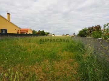 Terreno urbano em Marinhais