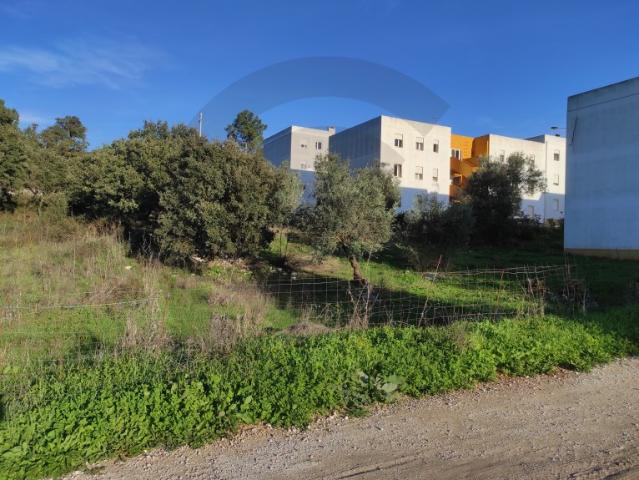 Terreno Urbano em Minde