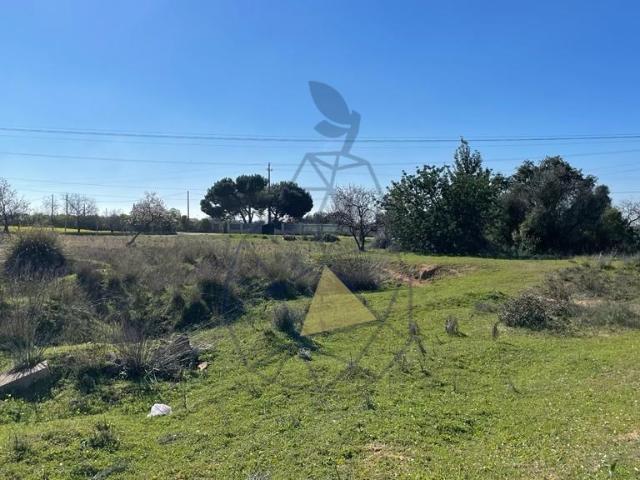 Terreno Urbano em Montes da Vala Silves
