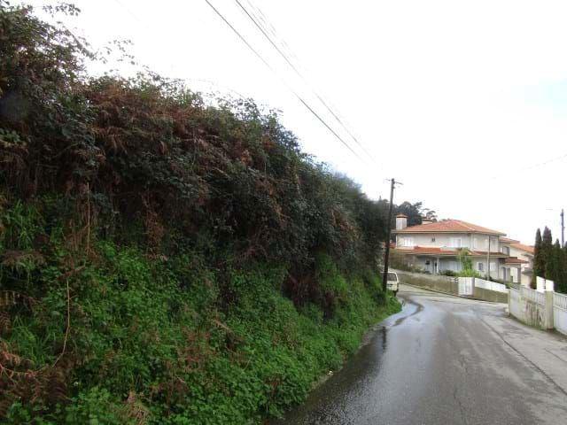 Terreno Urbano em Pousadela Nogueira da Regedoura