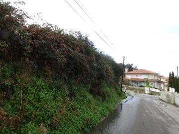 Terreno Urbano em Pousadela Nogueira da Regedoura