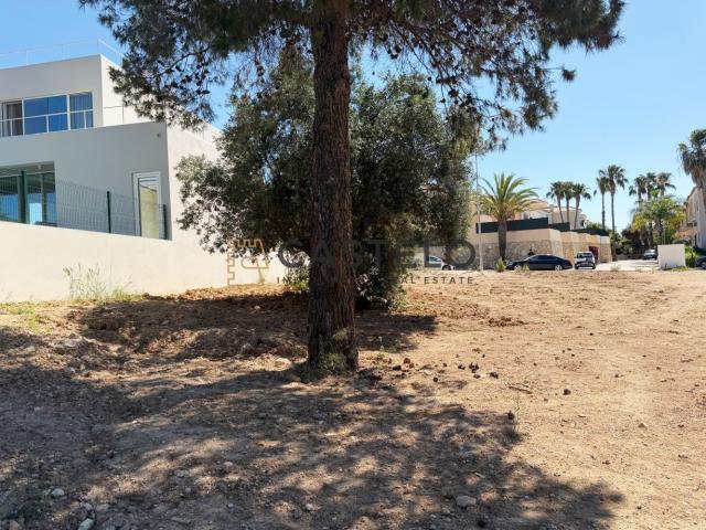 Terreno urbano em Santa Bárbara de Nexe com 331m2