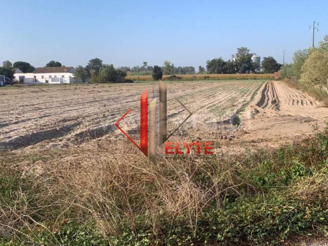 Terreno Urbano em Salvaterra de Magos